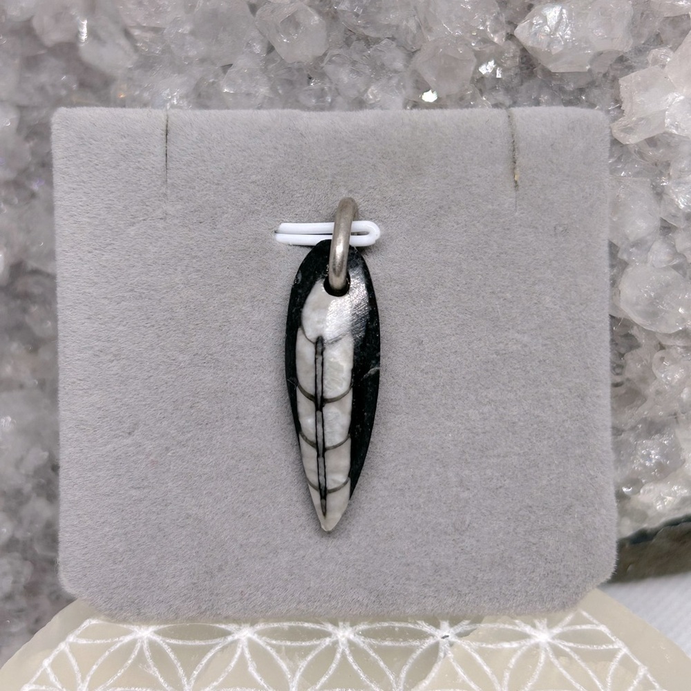 Artisan Orthoceras fossil pendant